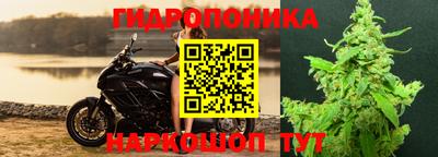 сатива Пыть-Ях