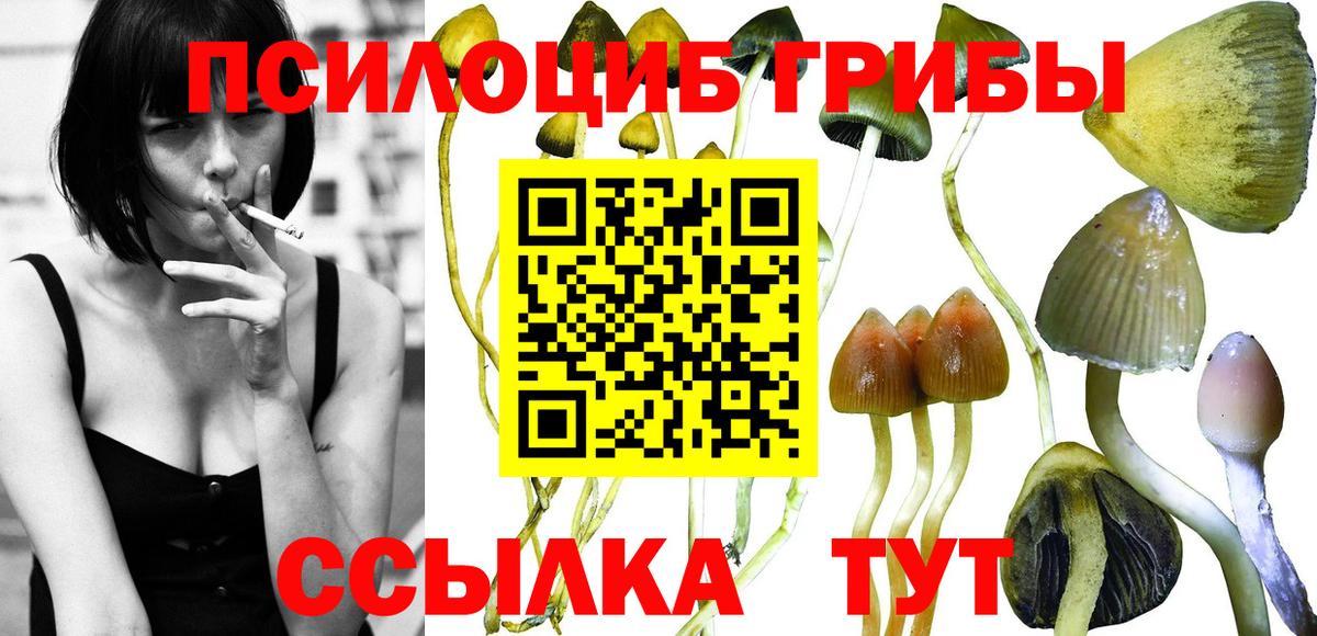 Псилоцибиновые грибы Psilocybine cubensis  Галлюциногенные грибы Magic Shrooms  Вход с VPN  Соликамск 